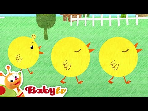 All the Chicks are Squeaking 🐥🎶 | Nursery Rhymes and Songs for kids ‪@BabyTV‬