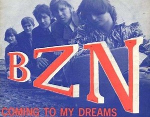 BZN - Every Day I Have To Cry | Top 40