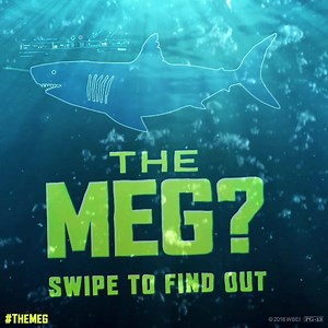 The Meg Movie on Reels