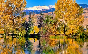 Colorado fall colors forecast released for 2025: See the map