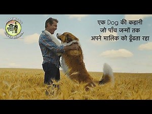 A Dog’s Purpose Movie Hindi Explanation