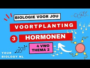 4 vwo | Voortplanting | 3 | Hormonen