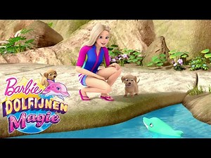 De Edelsteen Dolfijn | Dolfijnen Magie