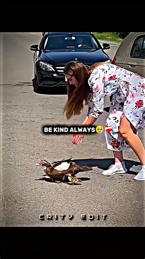 Kindness is the Real Power 💫#KindnessIsCool #BeTheChange #help #InspireKindness