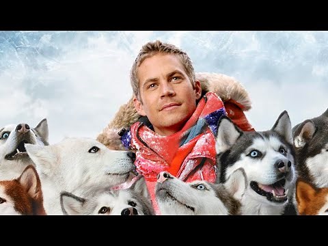 12 Best Dog Movies of all time