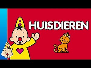 Huisdieren - Leren met Bumba