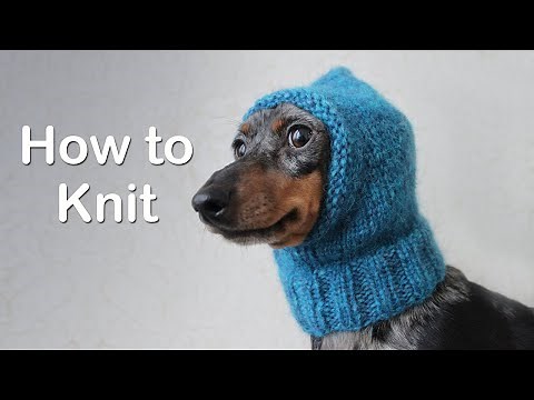 How to Knit An Easy Dog Hat