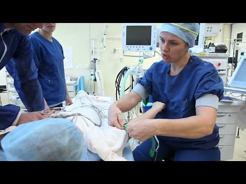 Babette undergoes surgery - Jeroen Bosch Hospital