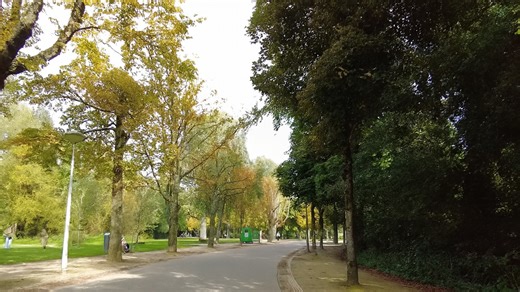 Cycling in Amsterdam – Explore City Streets and Canals 4K