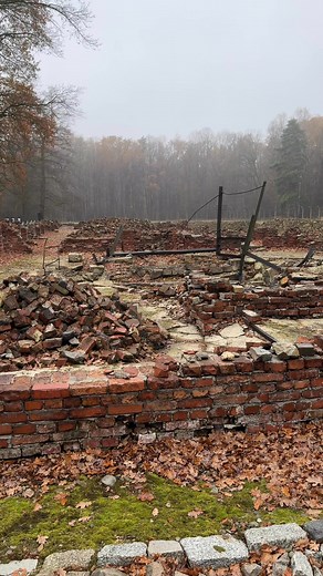 Ruins of gas chamber and crematorium V at the Auschwitz II-Birkenau site. The gas chamber was divided into three smaller rooms: 98.19, 95.34, and 43.25 square meters, totaling 236.78 square meters. Instead of windows, the chambers had 30 x 40 cm openings in the exterior walls, covered with gas-tight flaps. To the right of the crematorium entrance was a large undressing room. Behind the undressing room was a space where an eight-retort crematorium furnace was installed Watch our short video about