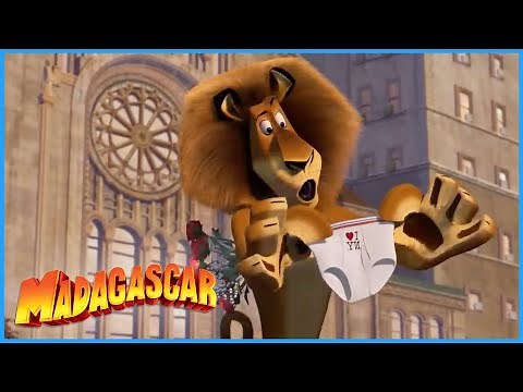DreamWorks Madagascar | A Day In The Zoo | Madagascar Movie Clip