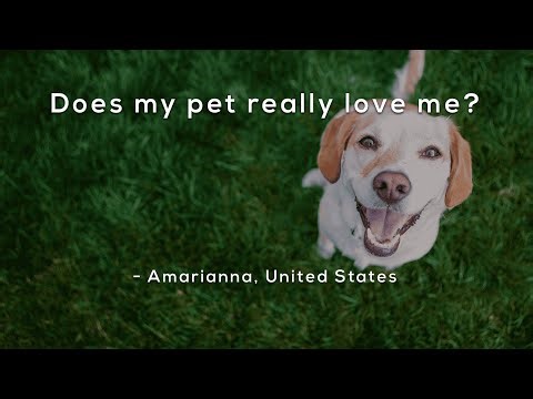 Does my pet really love me?