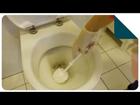 Cleaning the toilet room