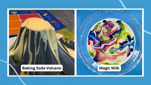 50 1st Grade Science Projects That'll Pique Kids' Interest