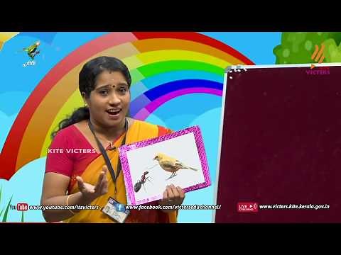 KITE VICTERS Kilikonchal Anganwadi Class 4
