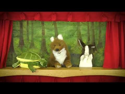 The Tortoise and the Hare - Children's Puppet Show