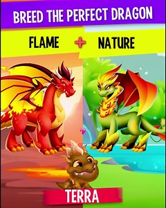 Evolve your dragons for every battle to crush all the enemies! 👾 💥 | Dragon City