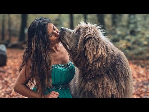Woman shares an unbelievable bond with her dog | The Koala