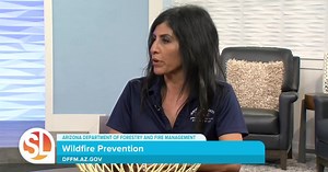 Be safe: Wildfire prevention tips from the AZ Dept of Forestry and Fire