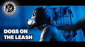 The O'Reillys and the Paddyhats - Dogs on the Leash