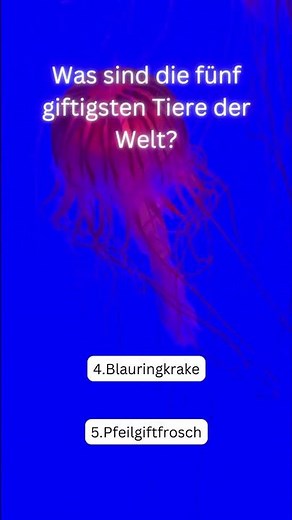 Die giftigsten Tiere der Welt