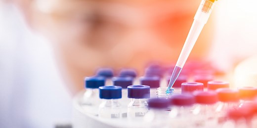 BSc (Hons) Biomedical Sciences