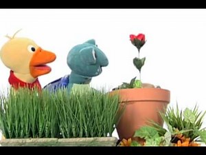 Baby Einstein Classic Videos – Coming Soon!