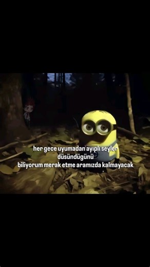 holyshirot on Instagram: "Her gün köpeğiyle yürüyüşe çıkan ve kedisinin evde ne yaptığını merak eden adam, kedisinin hareketlerini takip etmek için ona GPS cihazı kurmaya karar verdi. Topladığı verileri analiz ederken kedisinin yolculuk boyunca gizlice onları takip ettiğini, yakında ama görüş alanı dışında kalarak onları şaşırttığını keşfetti. Bu davranış, kedilerin bağımsız ve aynı zamanda bağlı doğasını vurgular. Genellikle yalnız hayvanlar olarak kabul edilseler de kediler, sahipleri ve evdek