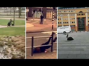 Deadly Winter Storm In The Netherlands 2018 people flying