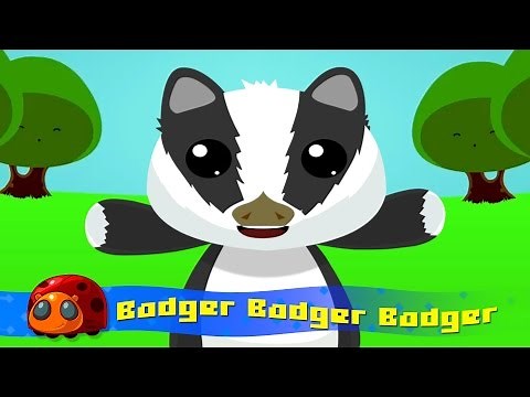 Badger Badger Badger : Silly Song : JellyBug