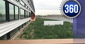 What is Denver's green roof future?