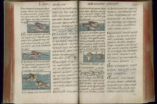 Newly digitized Florentine Codex reveals Aztec culture, language