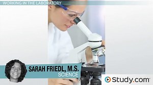 Common Laboratory Equipment: Types & Uses