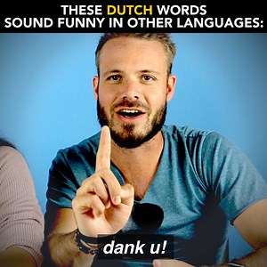 Some frequently used Dutch words... ... have a totally different meaning in other languages! | Learn Dutch