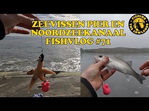 Zeevissen vanaf de pier en op het Noordzeekanaal. FishVlog #71