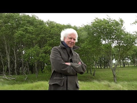 Boudewijn de Groot - Aarde (Official Video)