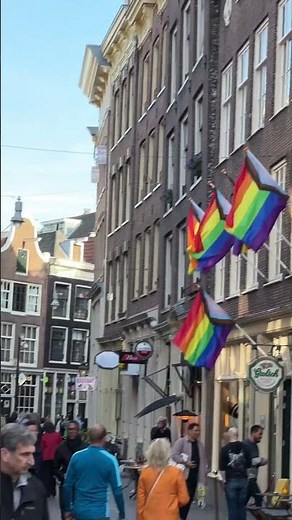 Immersing in Amsterdam's Red Light District: A Captivating Experience