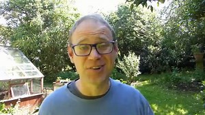 How to Grow Kale: Planting, Care, and Harvest Tips for Healthy Greens