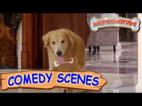 Akshay Kumar Trying To Kill The Dog- Comedy Scenes | Entertainment | Hindi Film