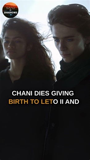 What Happens to Chani After Dune Part Two? #paulatreides #dune