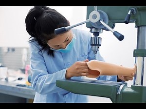 Exploring Biomedical Engineering - Applications and Career Opportunities (17 Minutes)