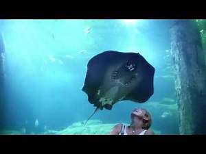 Burgers' Zoo Arnhem - Ein tierisch guter Tagesausflug