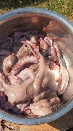 Whole Octopus on the Spit – Charcoal-Roasted Döner