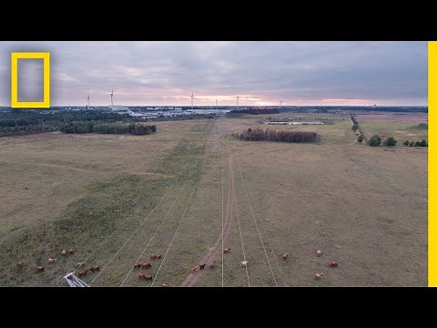Netherlands in 100 Seconds | National Geographic