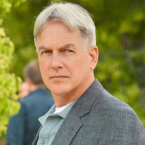 Mark Harmon Bio - żonaty, współmałżonek, pensja, majątek netto, bio, kariera - Biografia