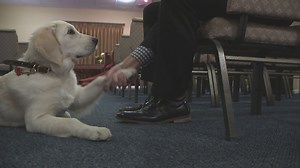 Furry friend helps mourners at Niles funeral home