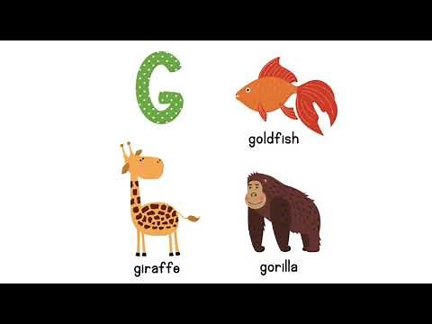 Ultimate Animal ABCs! Learn the Alphabet with Animals