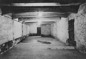 Sonderkommando: ooggetuigenverslag uit de gaskamers van Auschwitz