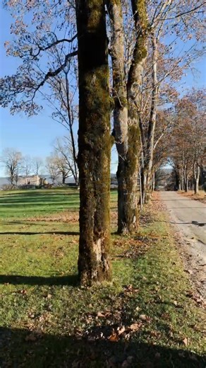 Marlies Besler on Reels