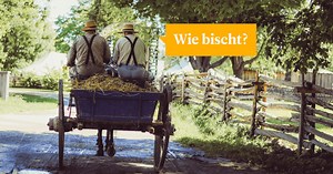 Pennsylvania Dutch: The Fastest-Growing US Minority Language